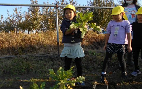 今週の子ども達☆