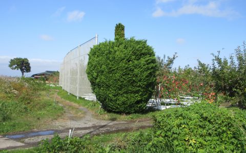 記録会👣と中学生ふれあい体験学習🏫