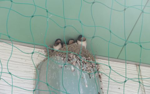 水遊び・プールが始まりました😲