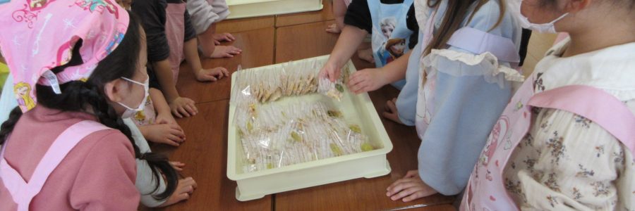 今週の子ども達💕