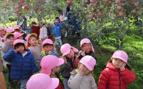 りんご収穫体験🍎誕生会🍰