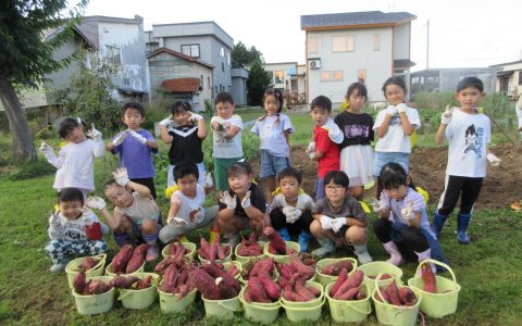 稚魚の放流、さつま芋掘り